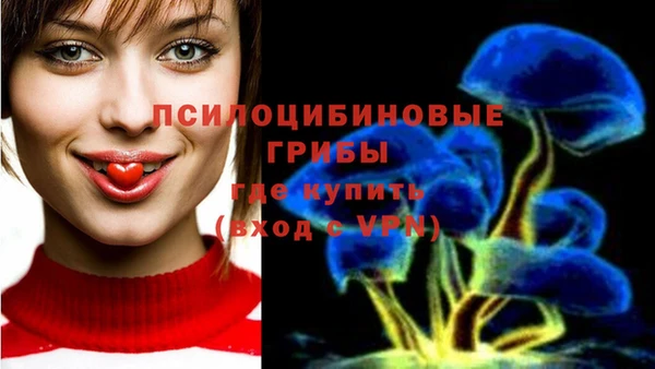 ECSTASY Бугульма