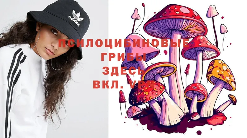 Псилоцибиновые грибы мицелий  Ижевск 